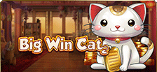 Slot casino Big Win Cat