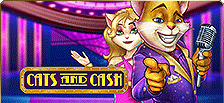 Slot casino Cats and Cash