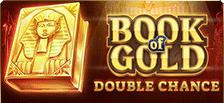 Machine à sous Book of Gold : Double Chance