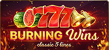 Jeux gratuit Burning Wins